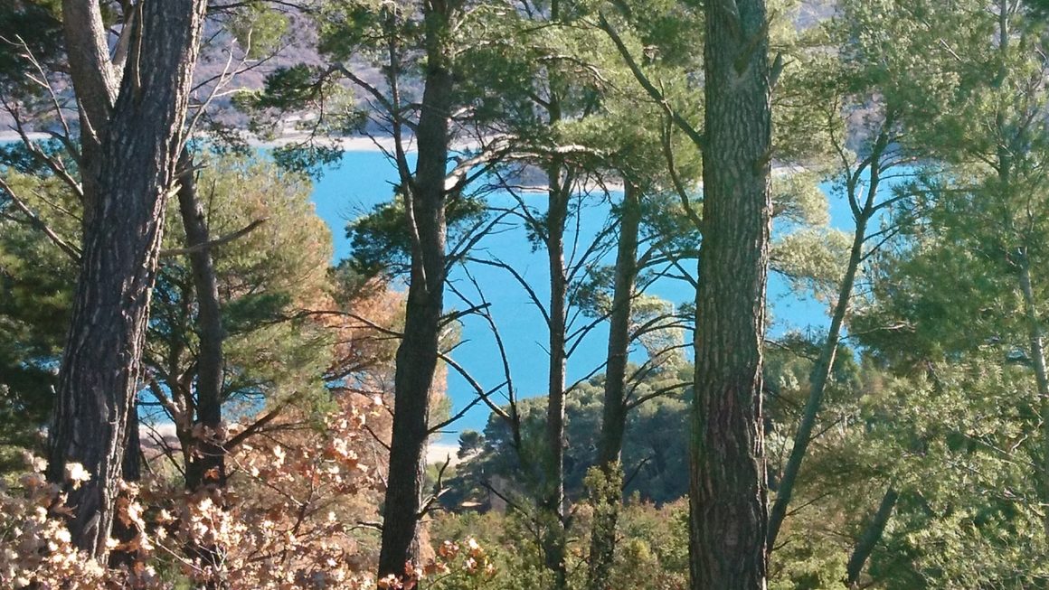 paysage gorges du verdon