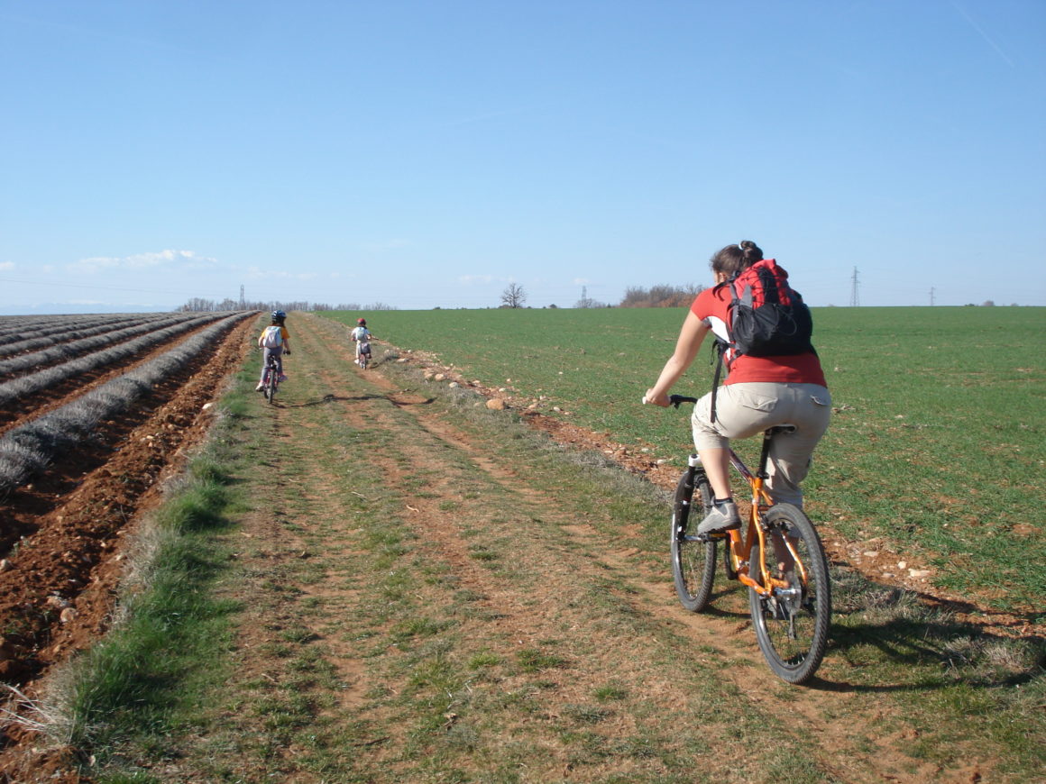 vtt plateau de valensole